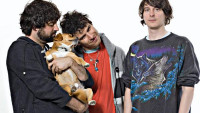 Animal Collective