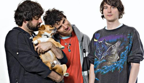 Animal Collective