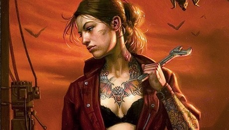 patricia-briggs-krevni-pouto-ilustracni