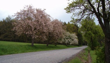 Příroda Jarní krajina