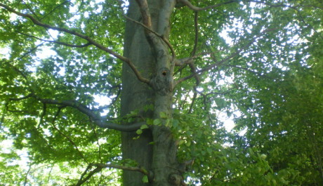 Zdraví FOTO: Zdraví