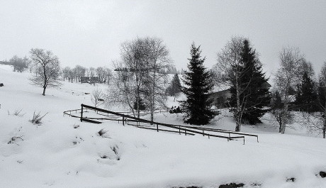 FOTO: Zasněžená krajina