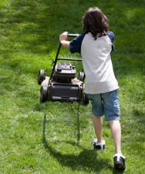 FOTO: Zahradnické práce