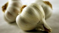 FOTO: Česnek
