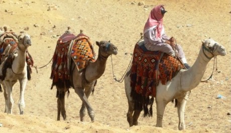 FOTO: Ilustrační foto