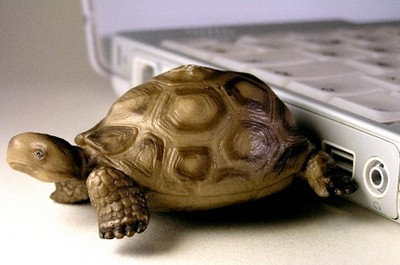 FOTO: Flash disk ve formě želvičky
