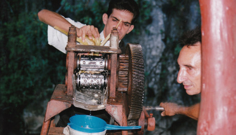 FOTO: lisov&aacute;n&iacute; ckrov&eacute; třtiny