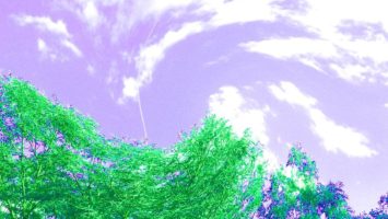 LSD