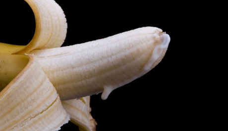 Orgasmus