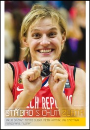 Obálka knihy Stříbro s chutí zlata