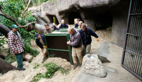 FOTO: Přesun Padanga do expozice