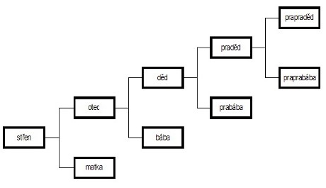 Rodokmen OBR: rodokmen