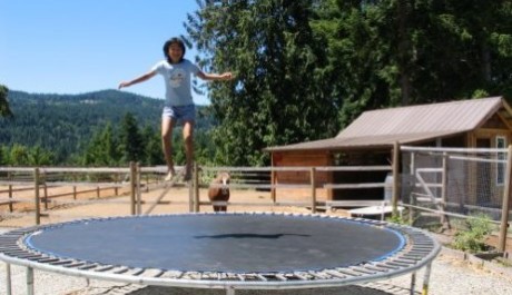 Skoky na trampol&iacute;ně