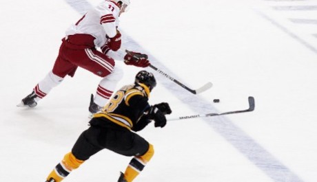 Martin Hanzal (vzadu) se snaž&iacute; uniknout Mattu Hunwickovi