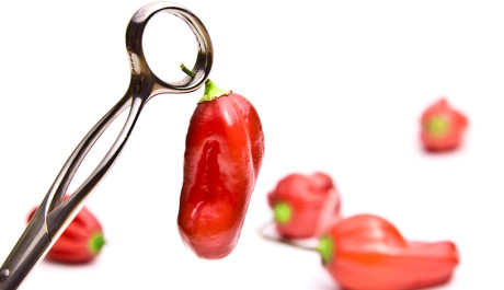 Chilli