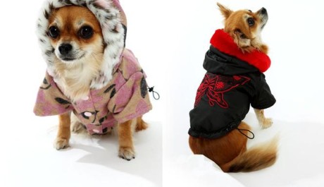 FOTO: La femme MiMi - Ps&iacute; oblečky