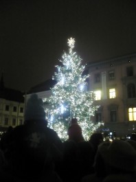 FOTO: V&aacute;nočn&iacute; stromeček