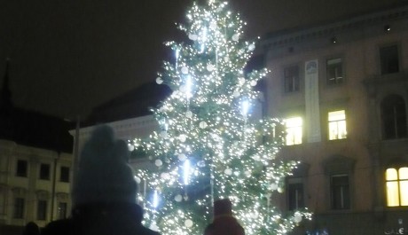 FOTO: Vánoční stromeček