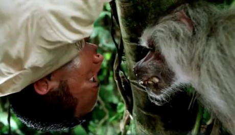 FOTO: V&iacute;tejte v džungli