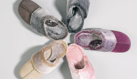 FOTO: Zimn&iacute; botky