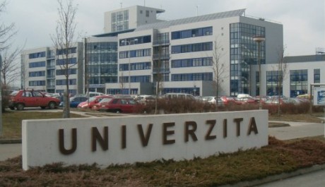 Univerzita