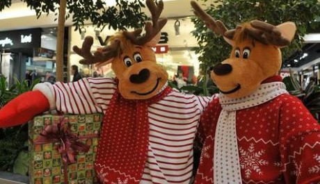 FOTO: Plyšový sobi ovládli Vaňkovku