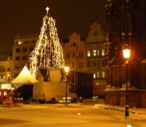 FOTO: Vánoční strom