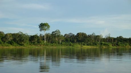 FOTO: Řeka Amazonka