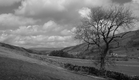 Yorkshire FOTO: Yorkshire