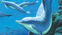 Anne McCaffreyová: Pernští delfíni (perex, ilustrační)