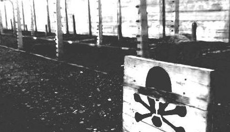 birkenau2 OBR: Birkenau