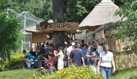 FOTO: komplex Etiopie I