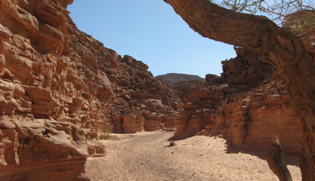 FOTO: Egypt, ilustračn&iacute; foto