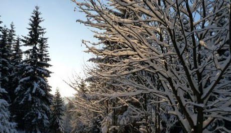 FOTO: Ilustrační foto, Krkonoše