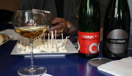 FOTO: V&iacute;na z Nov&eacute;ho Vinařstv&iacute;