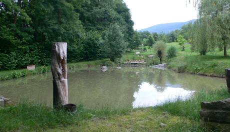 Osíčko, rybník. Foto: Jana Roszková