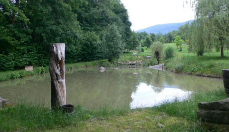 FOTO: Osíčko s malebným rybníkem