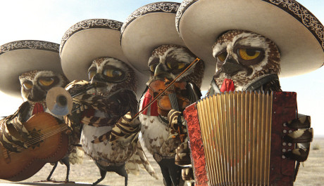 Fotografie z filmu Rango