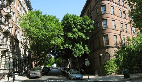 FOTO: Současný Harlem