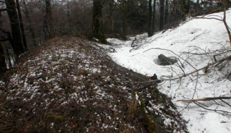 FOTO: Zř&iacute;cenina hradu Star&yacute; Her&scaron;tejn, Vranov