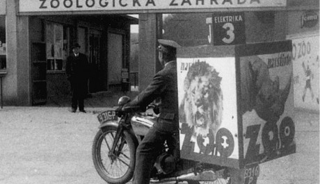 FOTO: zah&aacute;jen&iacute; 80. sezony ZOO Praha, Zdroj: Zoo Praha