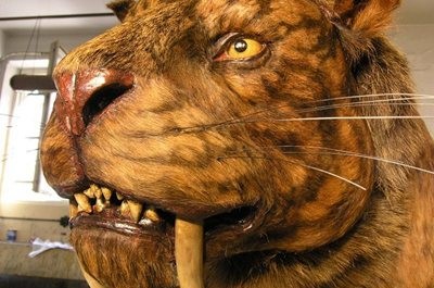 FOTO: Tygr šavlozubý v životní velikosti