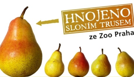 FOTO: Billboard sloní trus