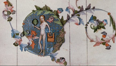 OBR: Vyobrazen&iacute; lazebnice z Bible V&aacute;clava IV.