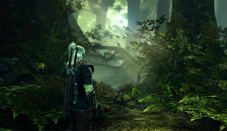 The Witcher 2 - žijící svět