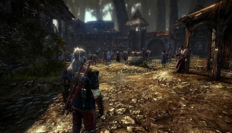 The Witcher 2 - žijící svět