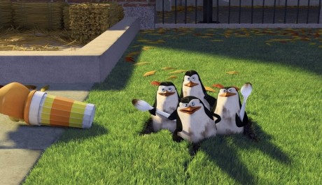 FOTO: Tucnaci z Madagaskaru