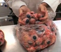 FOTO: Prasečí bulvy mohou být velkou pochoutkou