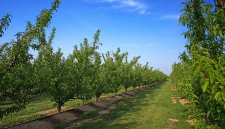 FOTO: Práce v zahraničí