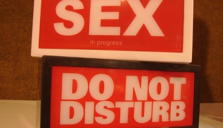 FOTO: Prosím nerušit!